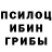 Псилоцибиновые грибы GOLDEN TEACHER Meyseru Tyan